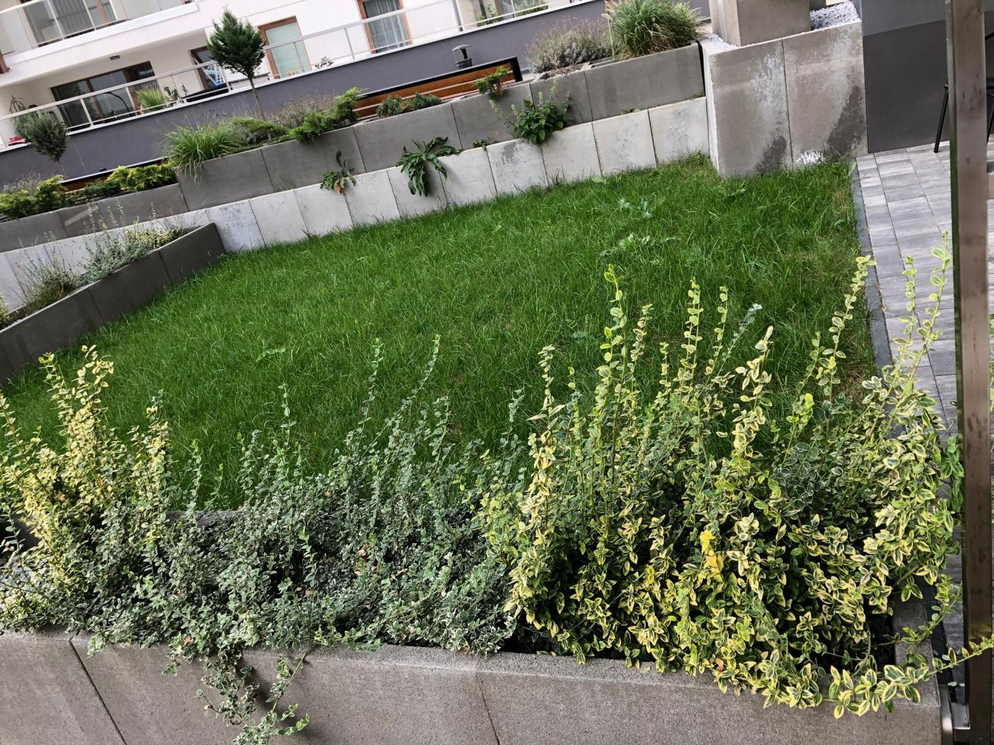 Komfortowe Apartamenty Kielce Klonowa ,Ogrodek, Garaz Podziemny, Samodzielne Wejscie Na Kod 24H Exterior foto